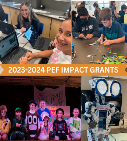 2023-2024 Impact Grants