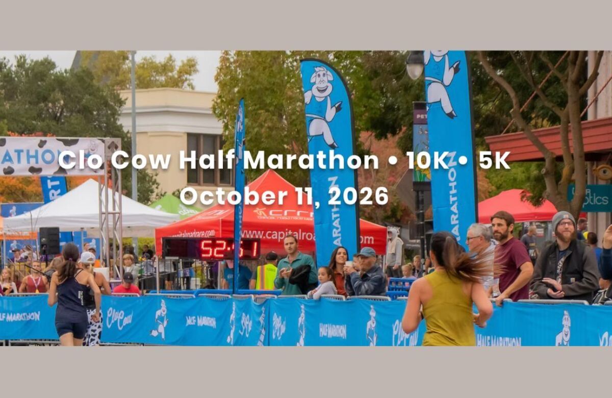 Clo Cow Race