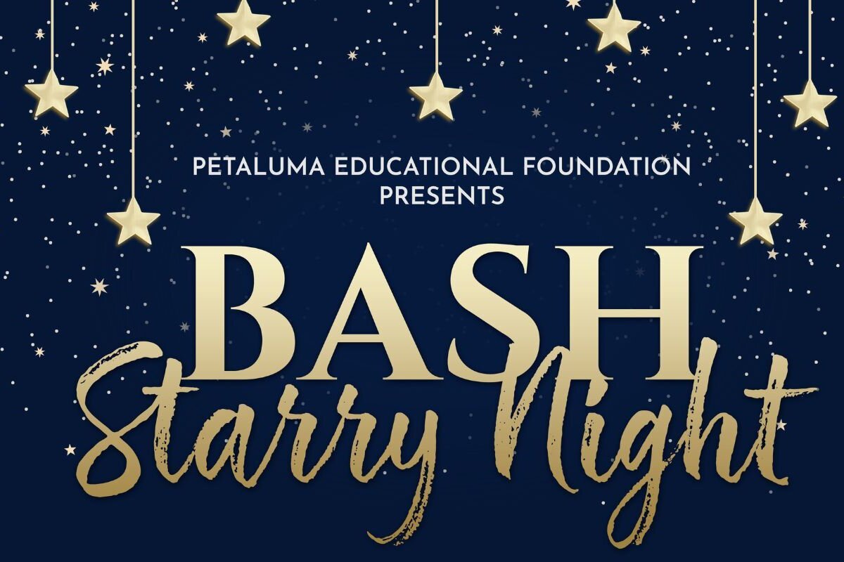 Starry night web banner